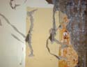 wall