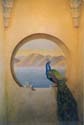 Window2